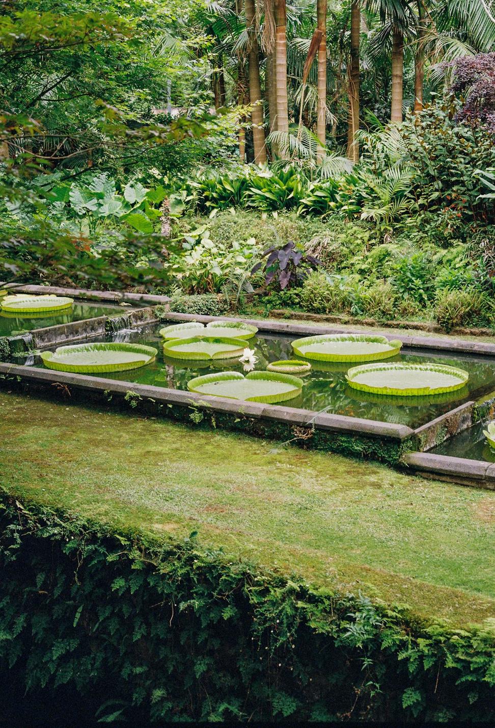 Garden Terrace Pavilion